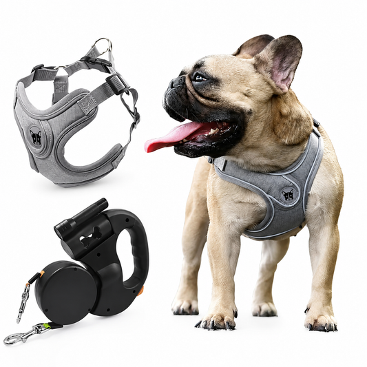 PawNest™ Double Walker